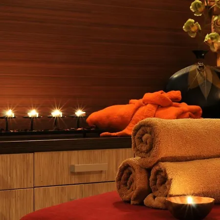 מלון Park Terme Michelangelo 4*